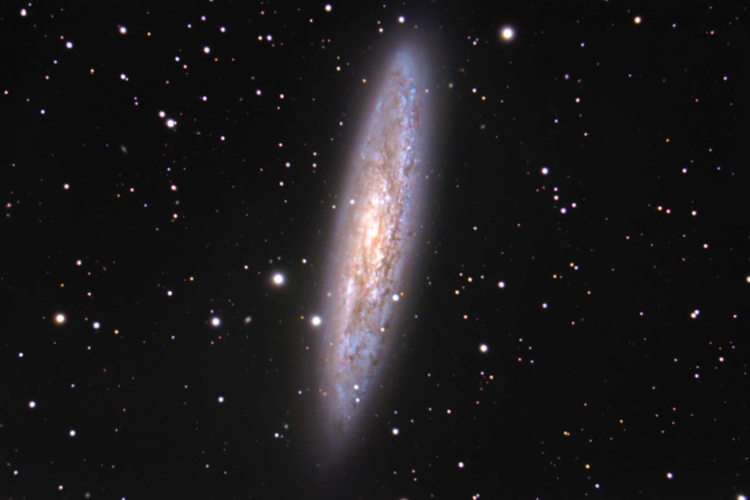 Спиральная галактика с активными процессами звездообразования NGC253 или просто галактика в Скульпторе